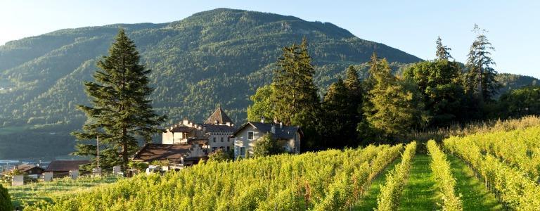 schloss-plars-360x245